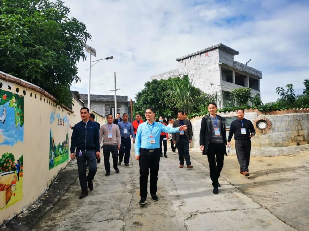 造福于民 百龙滩镇人大代表集中调研视察 监督重点项目 助力乡村振兴