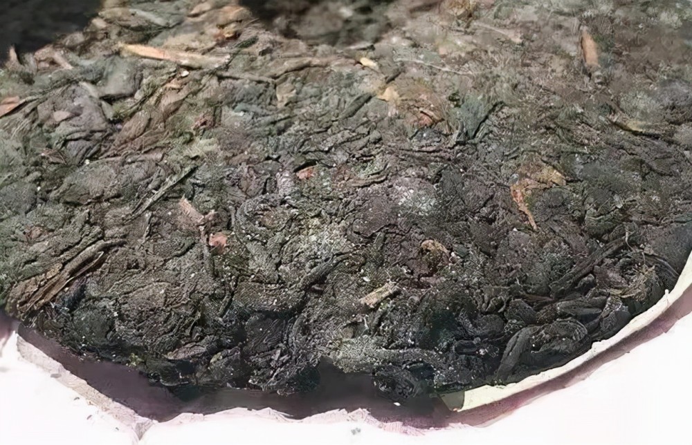 你的普洱茶不是长了金花是发霉了