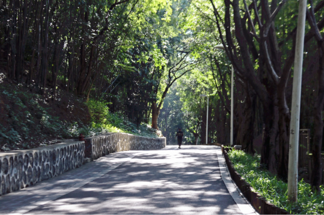 趁着暖阳,在番禺城北公园享受初冬限定休闲美好!|番禺区|公园|陈正德