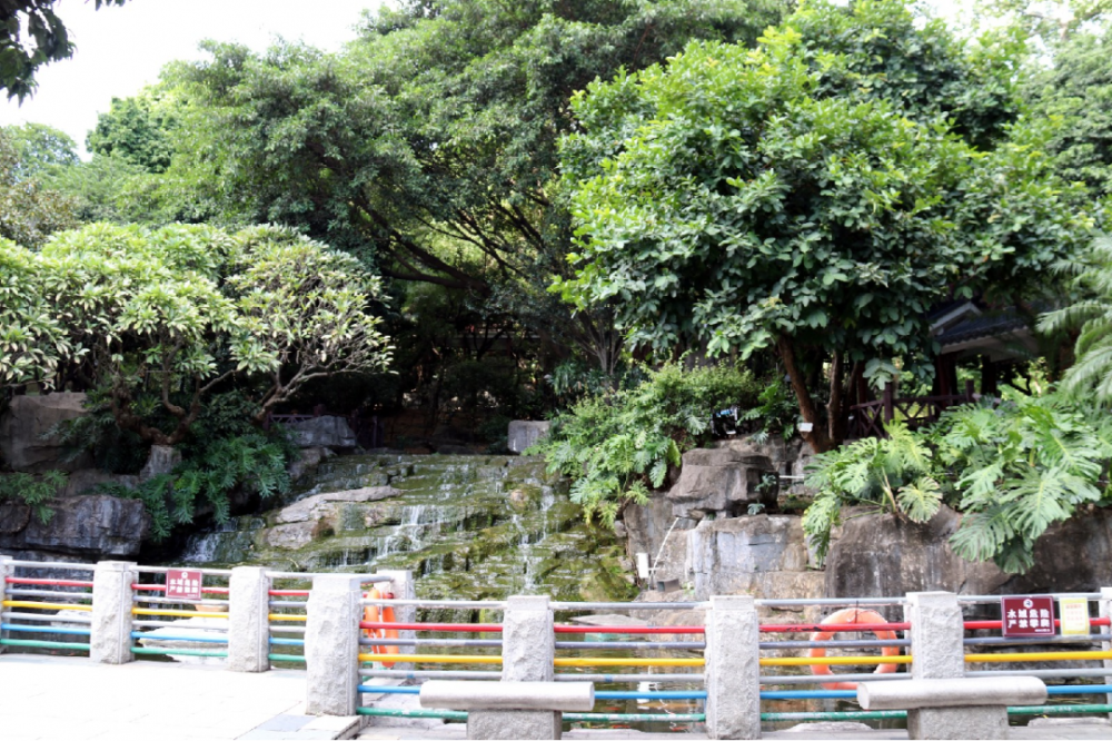 趁着暖阳,在番禺城北公园享受初冬限定休闲美好!