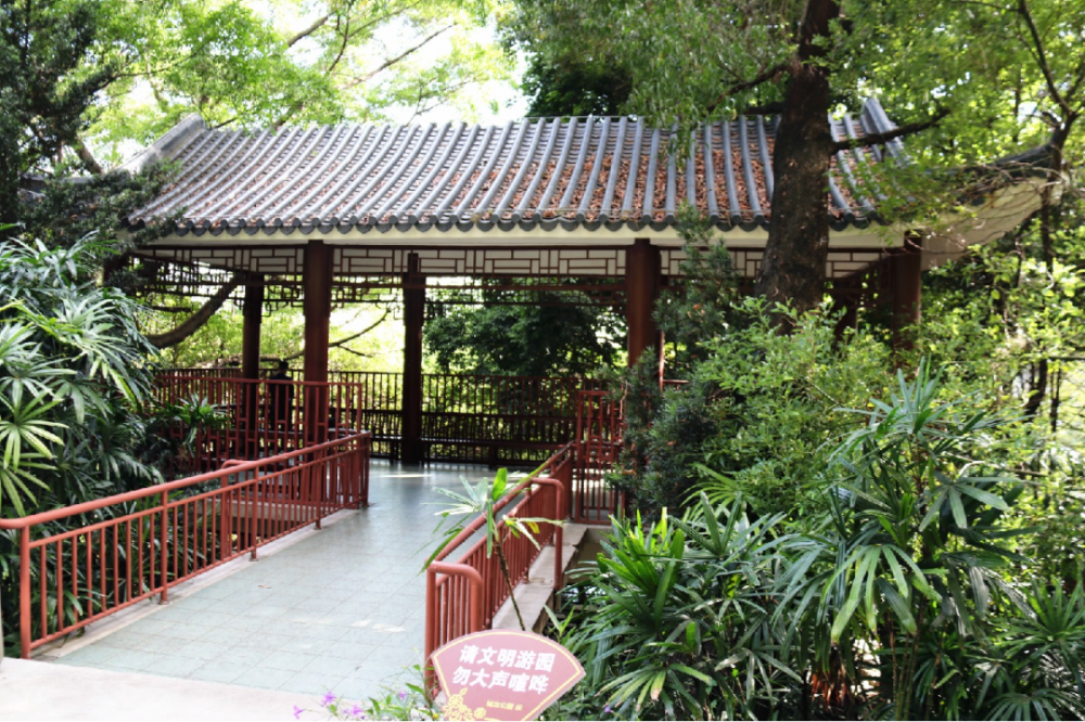 趁着暖阳,在番禺城北公园享受初冬限定休闲美好!