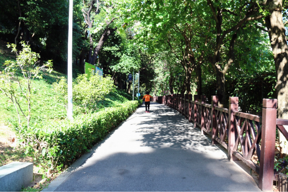 趁着暖阳,在番禺城北公园享受初冬限定休闲美好!