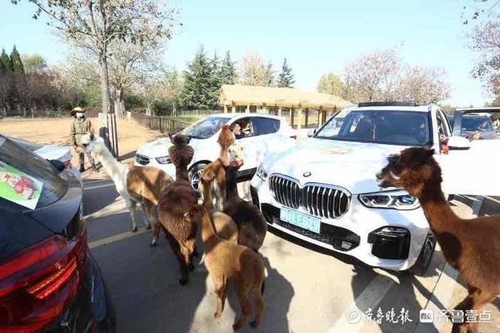 兽人口含_地理热搜牛年以来最大雨雪上线、东北率先开放生育、中国发现2..