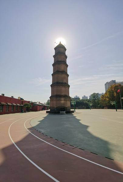 西安万寿寺塔塔顶塔身长树 官方:已联系人员准备进行清理