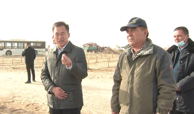 时政要闻麦盖提县委书记陈强看望慰问植树造林一线人员