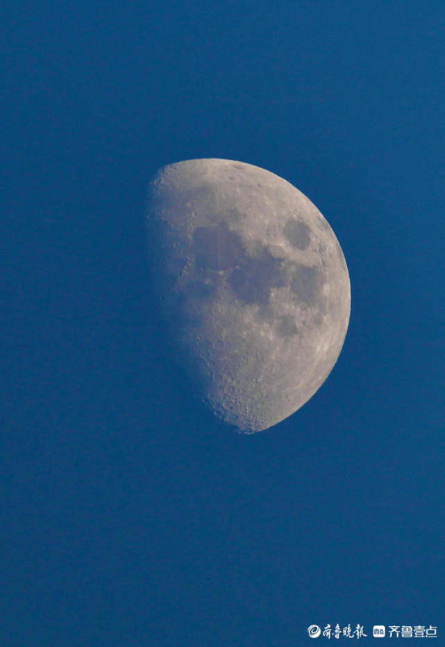 白天拍出来的月亮是这个样子的