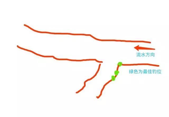 0 河流由宽边窄,有窄变宽处,此处是鱼道,鱼儿来回游动的必经之路.