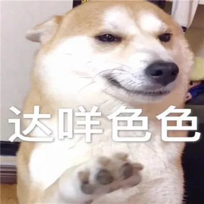 火遍全网的很火的达咩色色表情