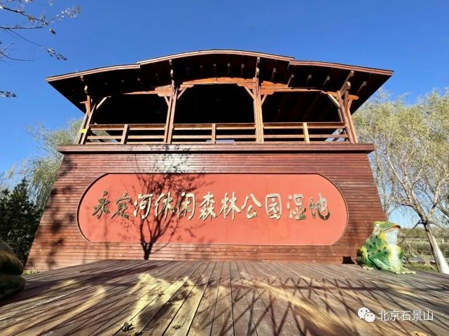 公园最大的看点是公园里藏着的一块宝藏—永定河休闲森林公园湿地.