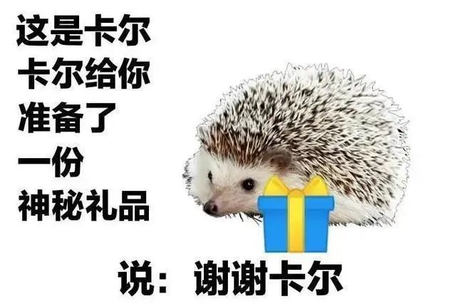 这是卡尔表情包