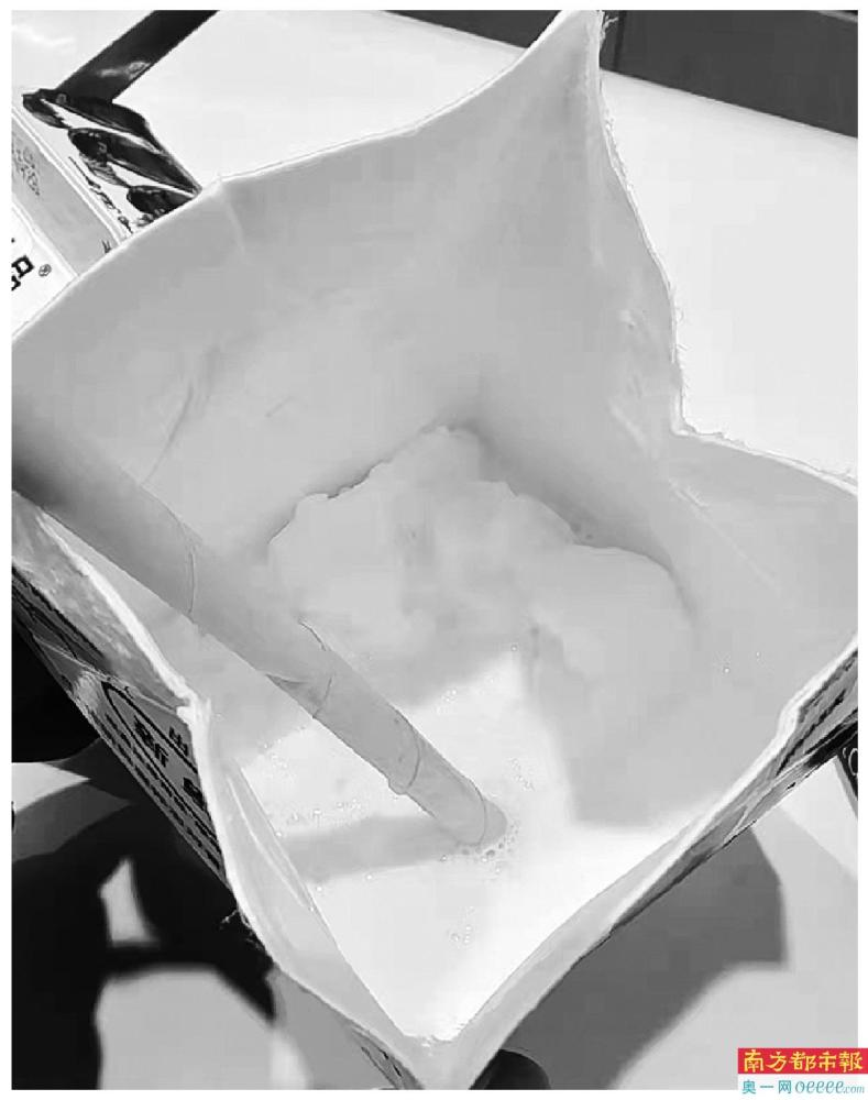 刚买到手的鲜牛奶竟然结块了