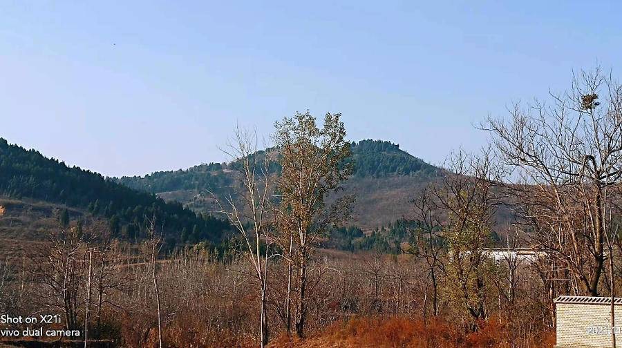 近年來,當地政府在此以振興鄉村經濟,傳承弘揚中醫藥文化,以扁鵲故里