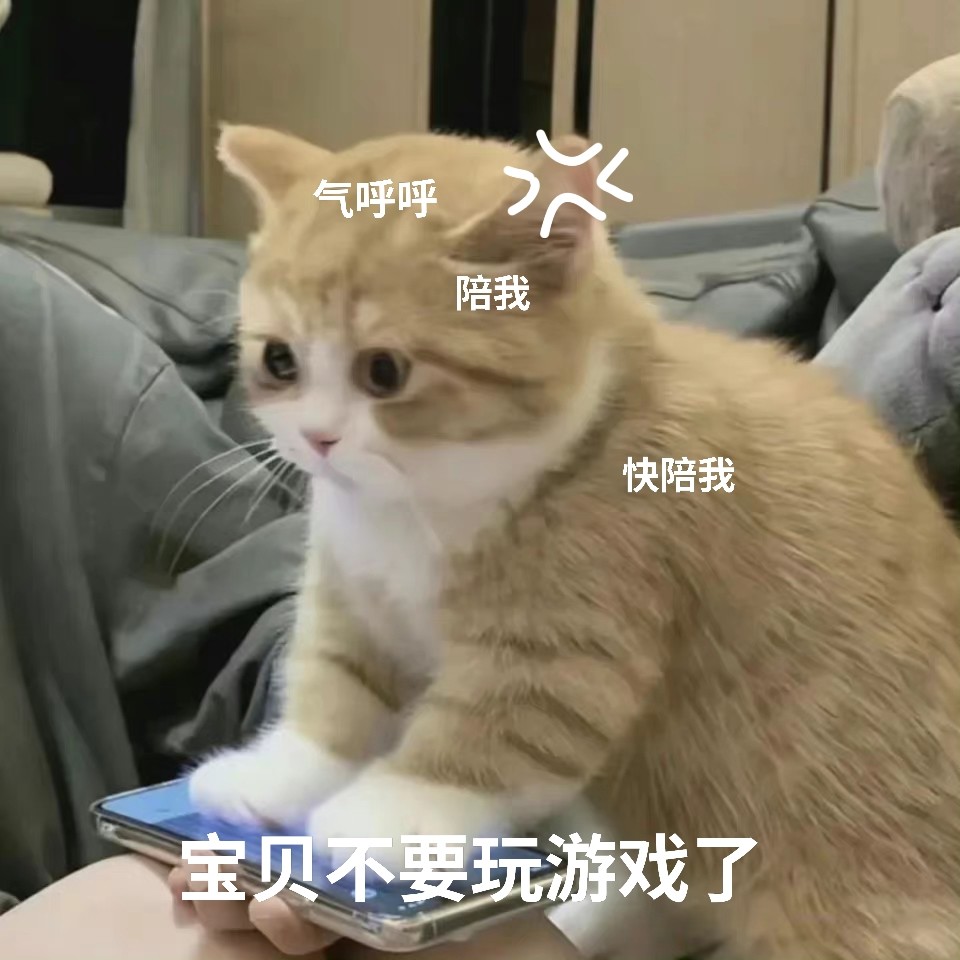 宝贝猫表情包宝贝不要玩游戏啦