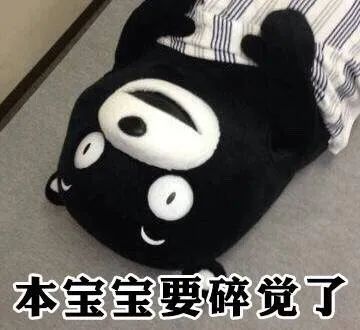 熊本熊表情包:请问可以看下你的胖次吗?