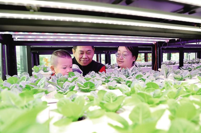 走进乡村旅游重点村丨青县司马庄:异果特菜鲜 水韵田园美_腾讯新闻