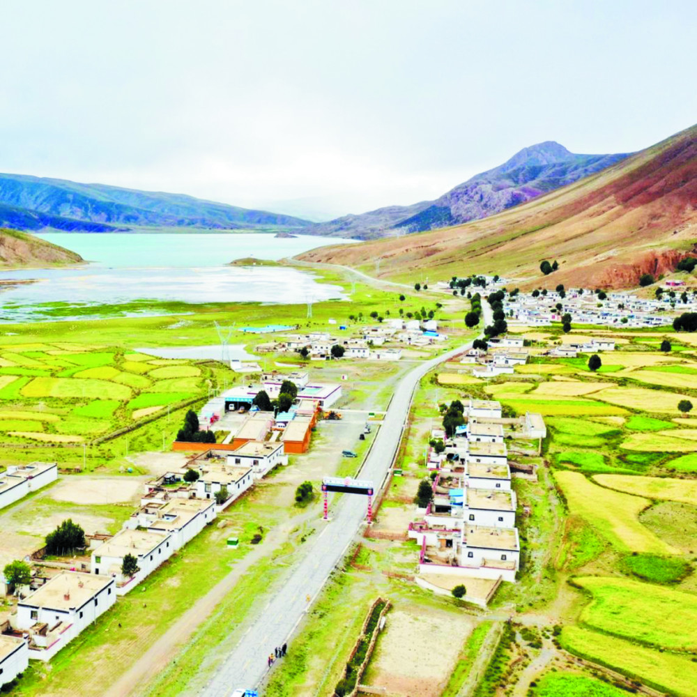 昂仁县高端网站建设_(昂仁县人民政府领导之窗)