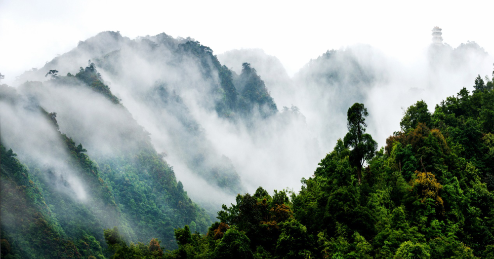 广东南岭国家级自然保护区 图片来源:网络会议提出,各级林长要组织