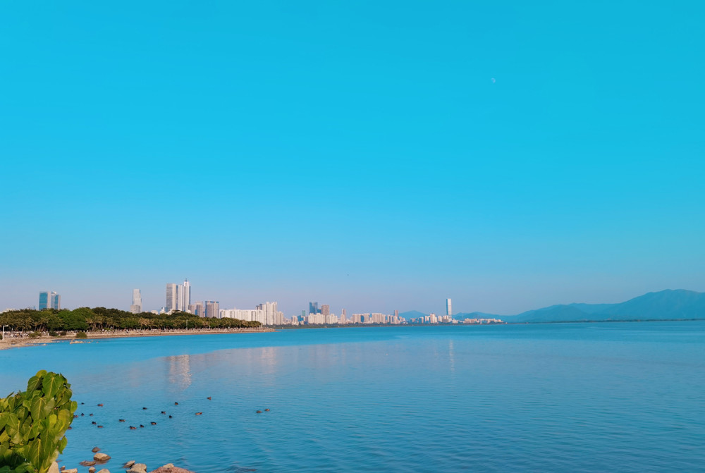 广东省各市gdp2021_东莞人均收入达5万元了!2021年东莞GDP已破7600亿