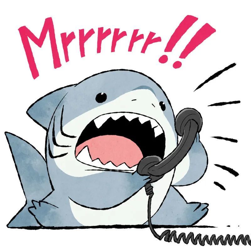 可爱的鲨鲨头像