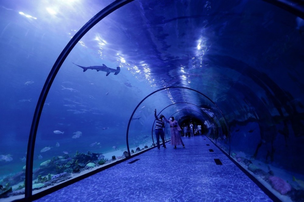 中东地区最大水族馆阿布扎比国家水族馆正式开馆