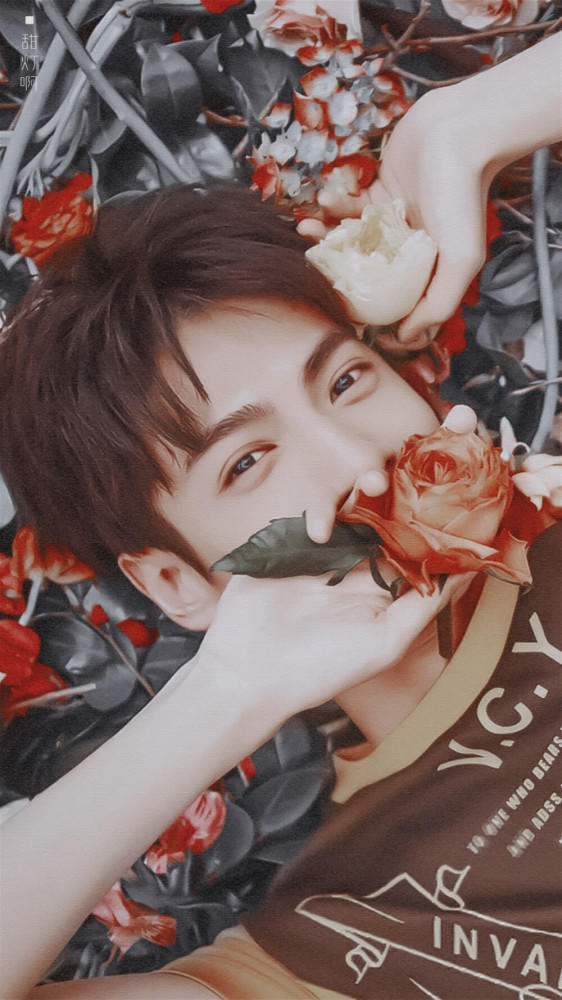 壁纸一眼万年的心动