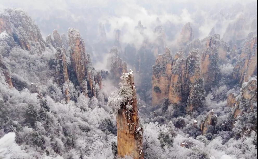 雾凇为张家界层峦叠嶂的石峰林和拔地而起的石柱,平添了几分神秘,带给