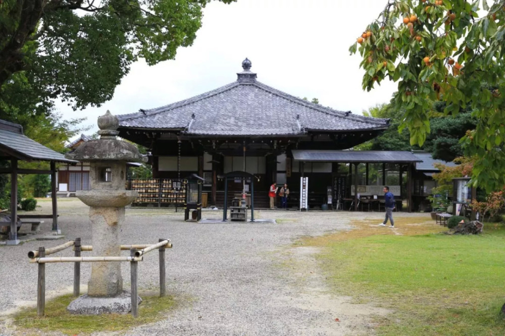 平城京望长安城:一场流传千年的"模仿秀"_腾讯新闻