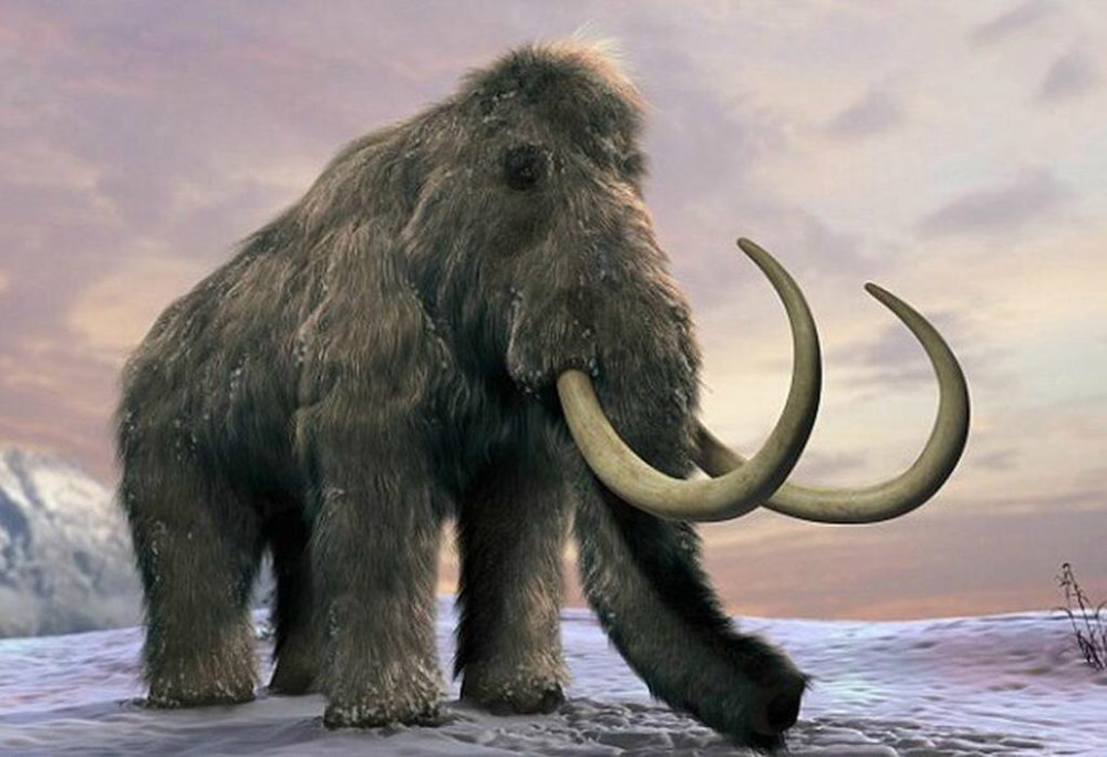 西伯利亚永冻土融化露出1万年前神秘生物科学家给出大胆设想