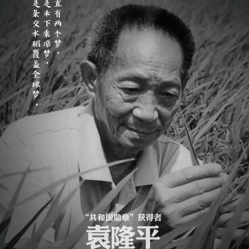 退休9年，重庆粮食集团原董事长胡君烈被查空客反超波音