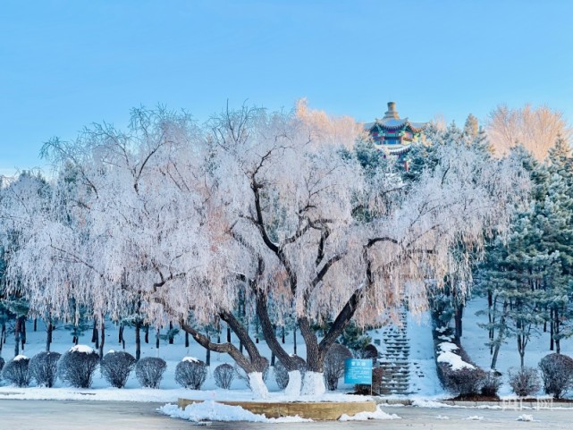 吉林松原雪景图片