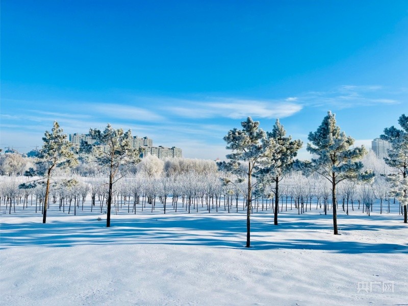 吉林松原雪后初霁景如画