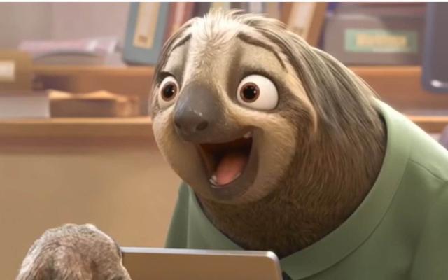 生和死都在树上懒到极点的树懒只有做这件事最积极交配繁殖