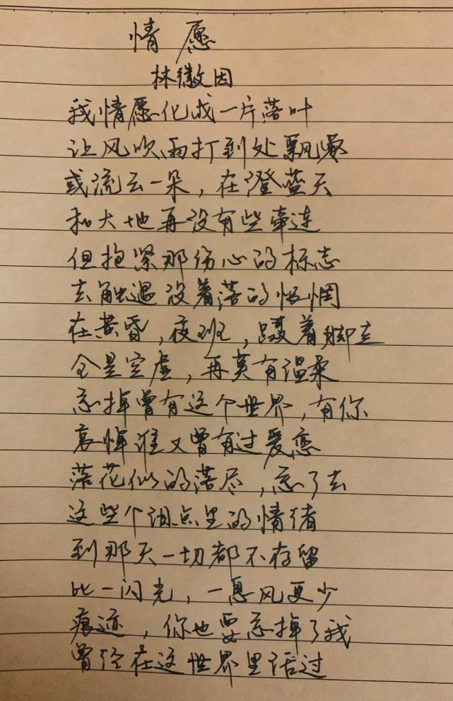 情愿林徽因