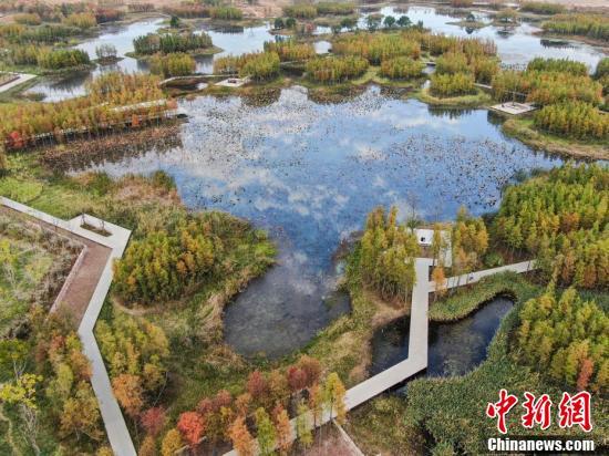 鱼尾洲湿地公园多大图片