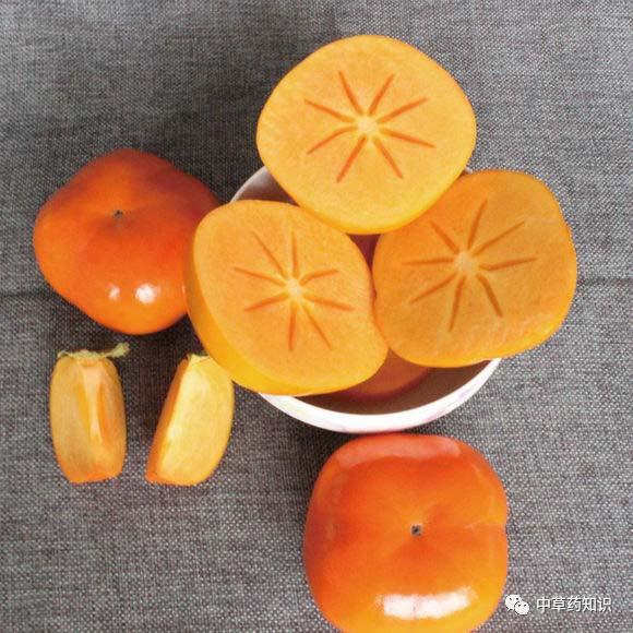 中药材柿子