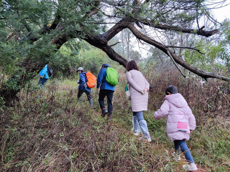 週末徒步雨中行從昆明海口林場穿越到觀音山相約一路紅