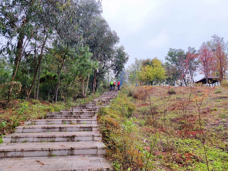 週末徒步雨中行從昆明海口林場穿越到觀音山相約一路紅