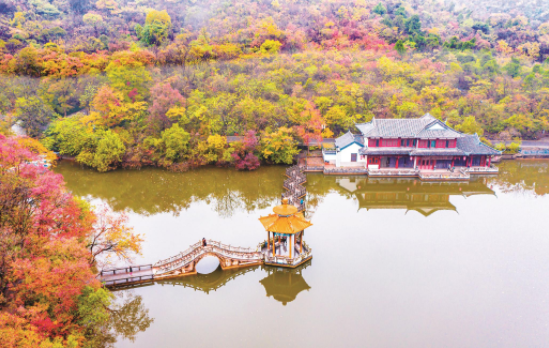 醉美滁州▍绚丽秋色,美景天成!_腾讯新闻