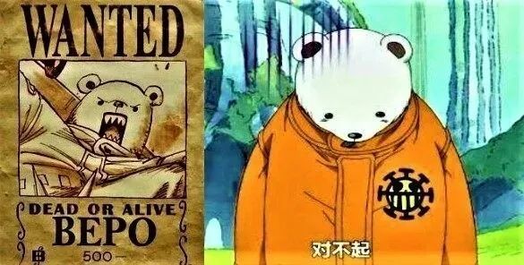 海贼王贝波成为二把手乔巴却还是一只团宠