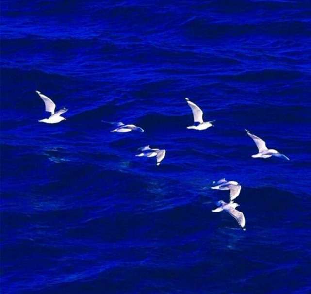 关于克莱因蓝的神仙文案|克莱因蓝