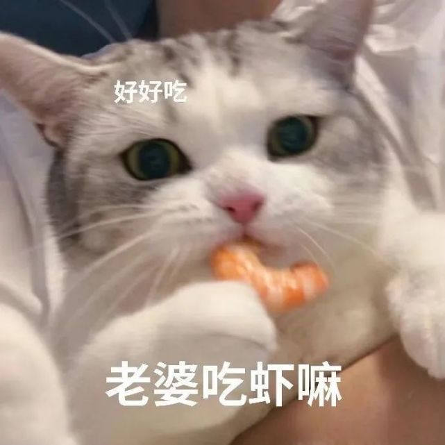 表情包:一起睡覺覺