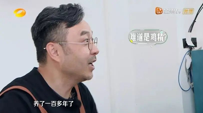 汪涵真是芒果台“镇台之宝”，愣是把这“冷门”综艺做成收视冠军