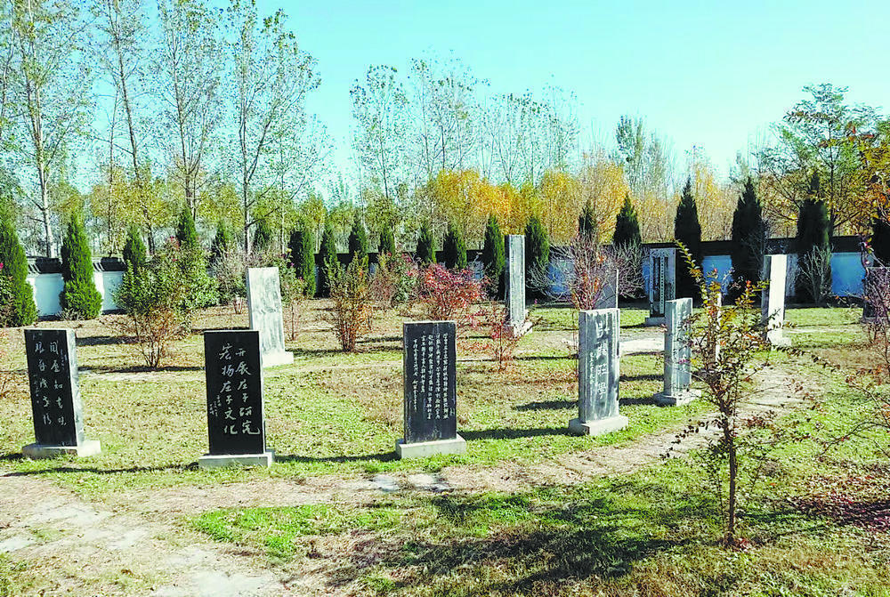 走百村看振兴东明县菜园集镇庄寨村文旅融合助力乡村振兴