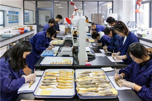 浙江省科技厅择优委托项目首席专家,浙江海洋大学党委书记严小军说:"