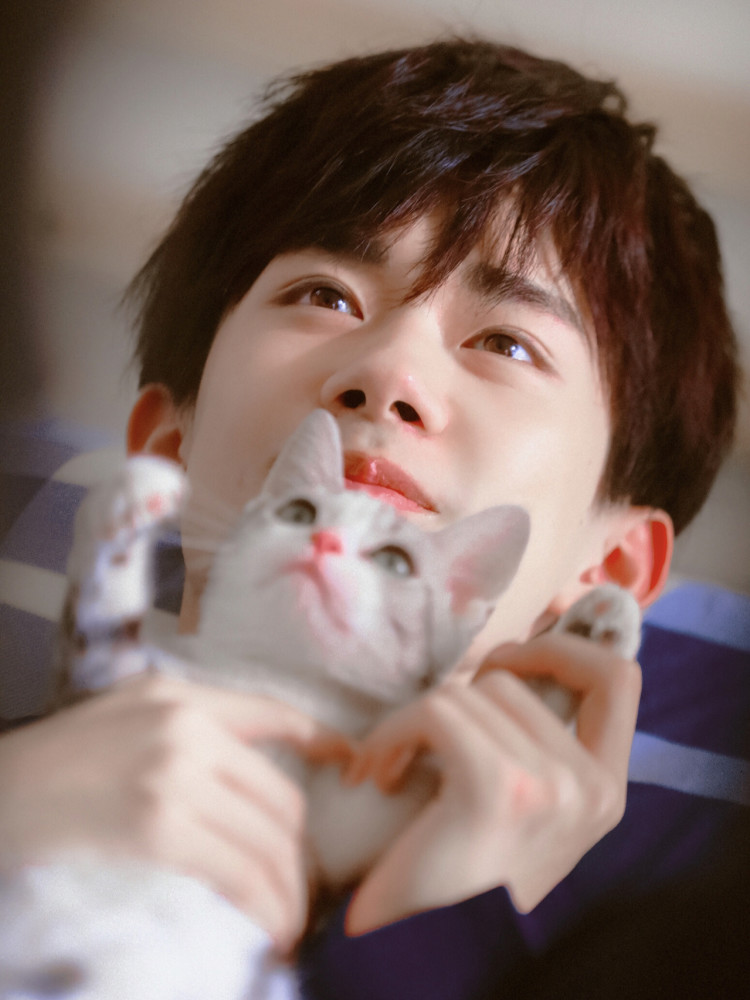 易烊千玺壁纸四字弟弟我的最爱