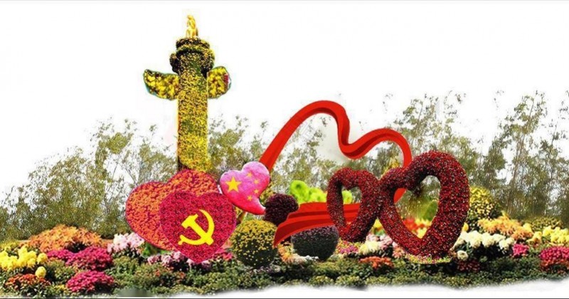 广东省内亲子游升级 去小榄赏30万盆菊 去南沙湿地观鸟 腾讯新闻