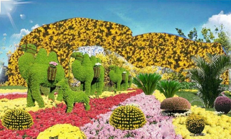 广东省内亲子游升级 去小榄赏30万盆菊 去南沙湿地观鸟 腾讯新闻