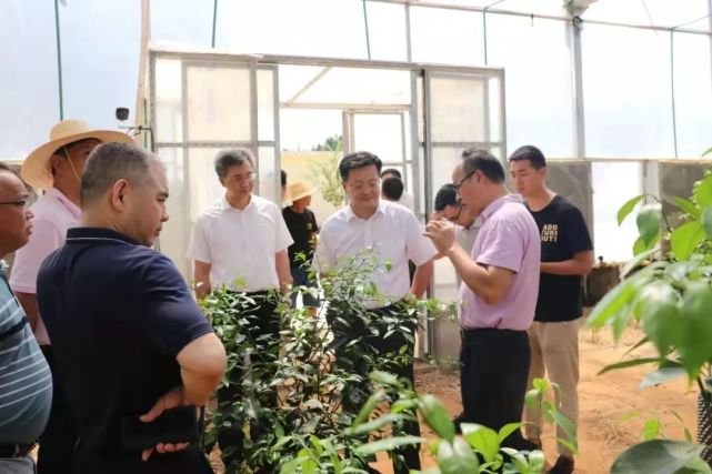 读懂党报|推动产业品牌化 南丰县委书记这样说