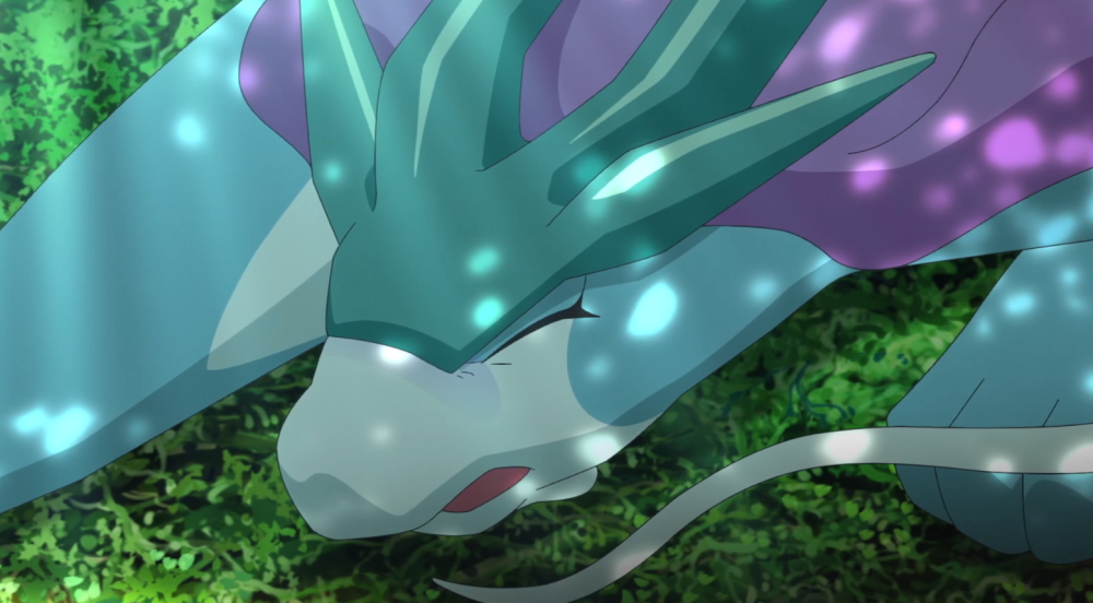 三圣兽动画存在复数个体,宝可梦旅途水君真乃神兽之耻