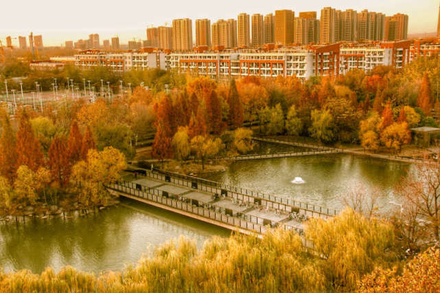 青年眼|郑大秋韵|满学|郑州大学